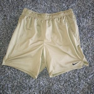 Men's Nike Dri-FIT Shorts